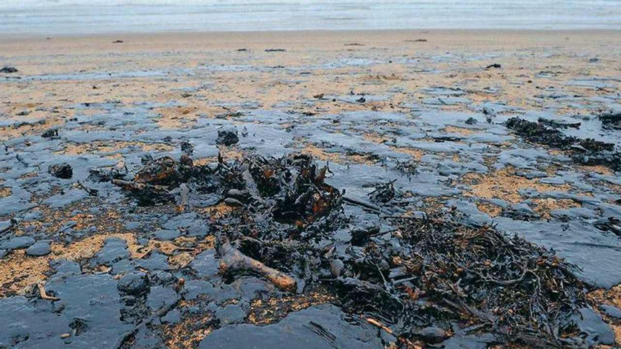 Начата проверка по факту разлива нефтепродуктов в акватории Берингова моря возле села Лаврентия Чукотского района