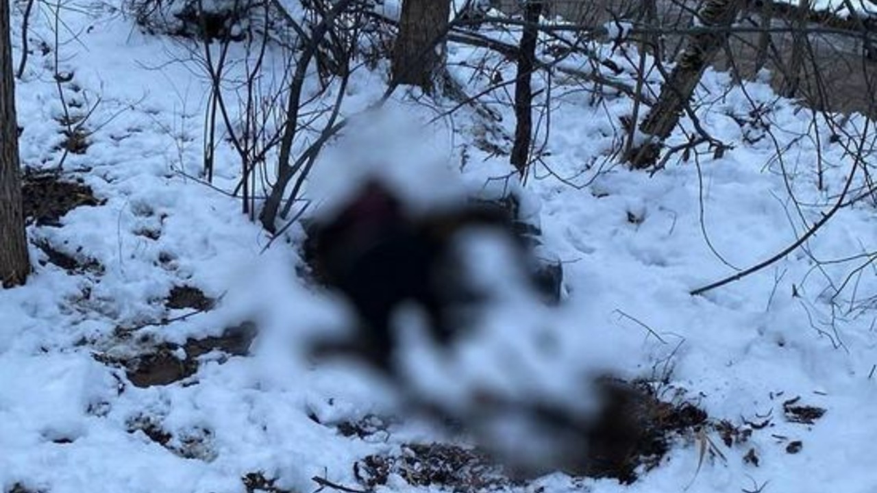 Жительница Беларуси замерз насмерть, пытаясь найти соль