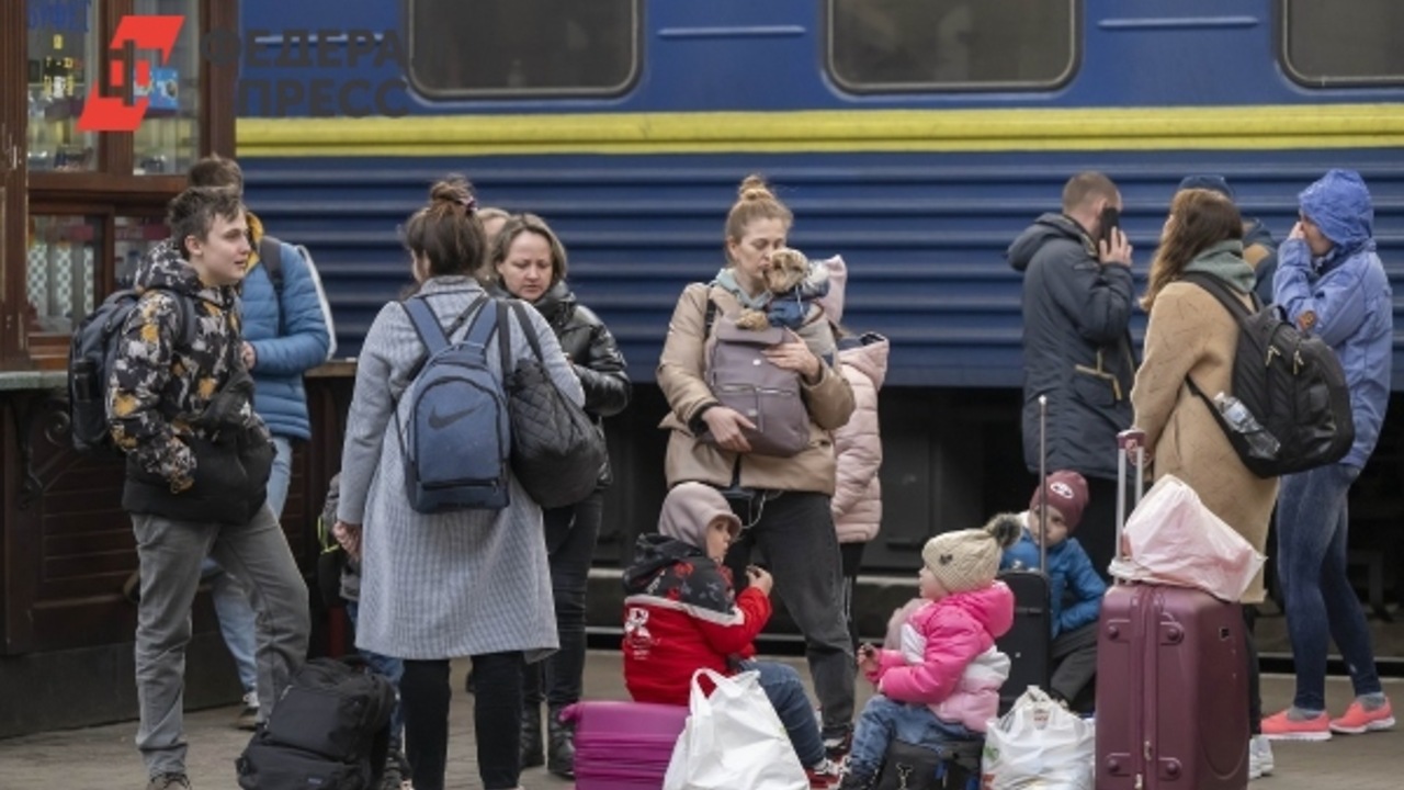 KGP: В Польше фиксируется скачок преступности из-за беженцев с Украины
