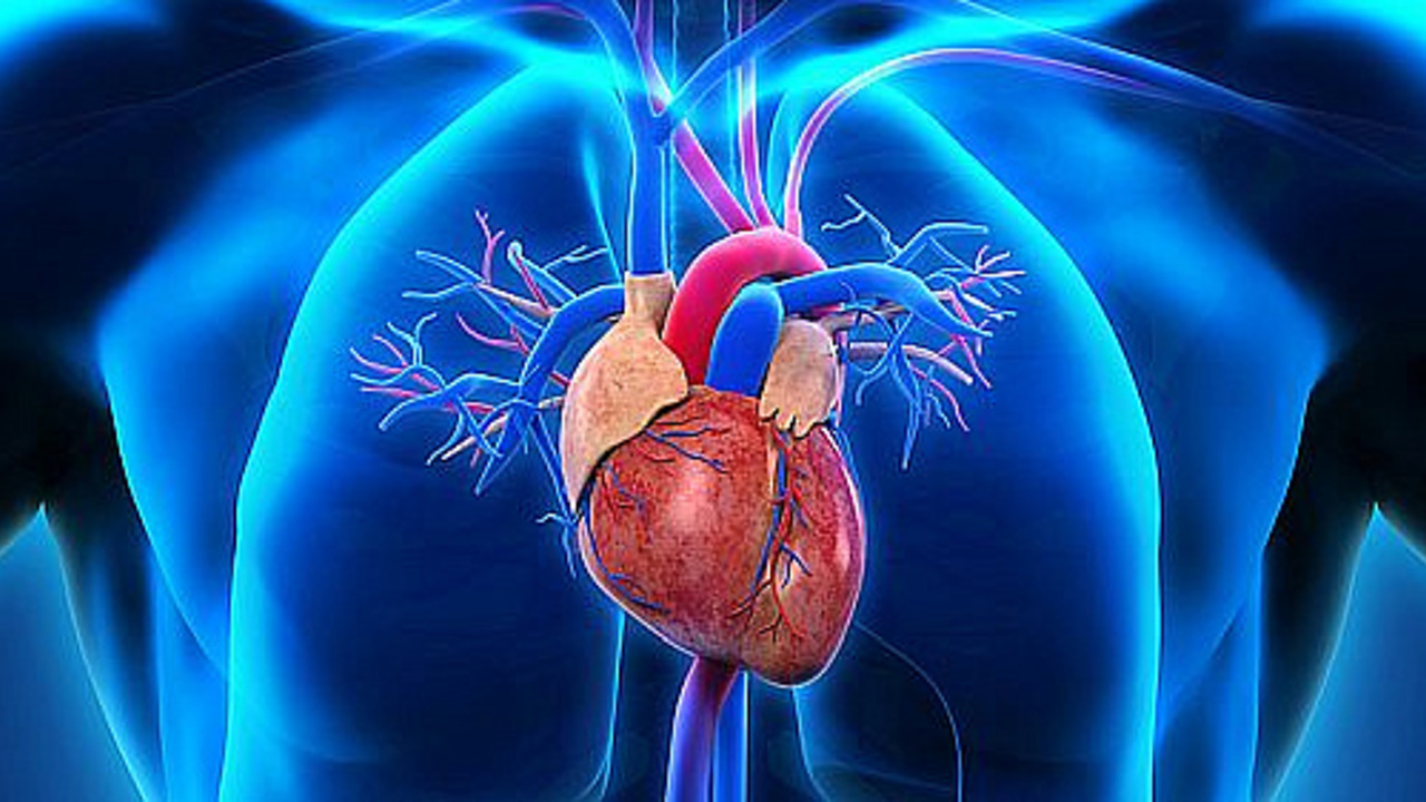 Кардиолог Кореневич: 3 шага снижают риск смерти при болезнях сердца и сосудов