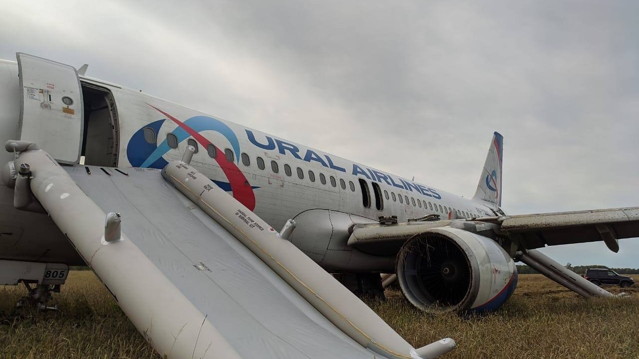 Появились первые фото c самолетом, который сел в поле в Новосибирской области